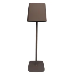 LED Tischlampe ASPEN braun