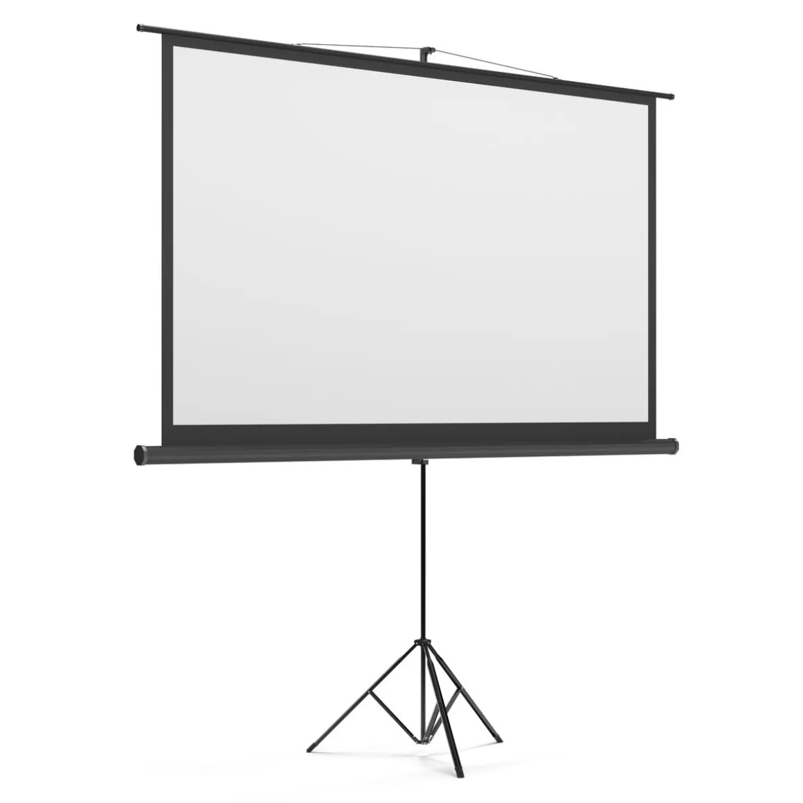 Leinwand Beamer mit Stativ 226 x 130 cm