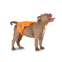 Leuchtweste für Hunde Grösse L/XL orange