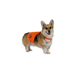Leuchtweste für Hunde Grösse S / M orange