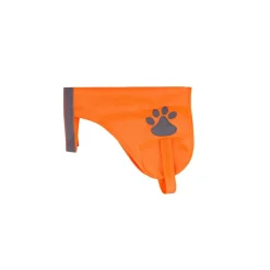 Leuchtweste für Hunde Grösse S / M orange