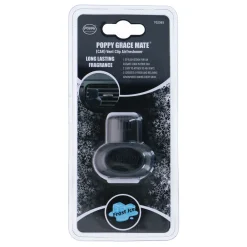 Lufterfrischer Auto Frost Ice