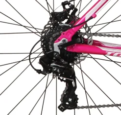 Mountainbike 29" JANICE L/XL