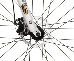 Mountainbike 29