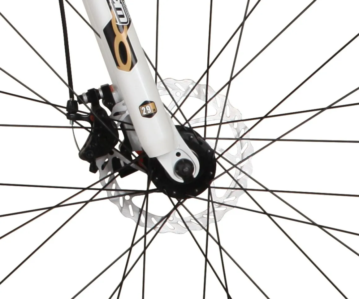 Mountainbike 29" JANICE L/XL