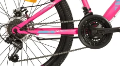 Mountainbike 24