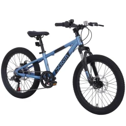 Mountainbike 20