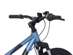 Mountainbike 20