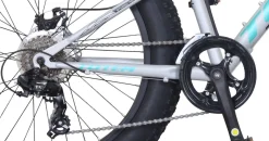 MTB Fatbike 24
