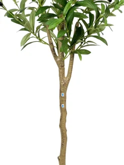 Olivenbaum künstlich 180 cm