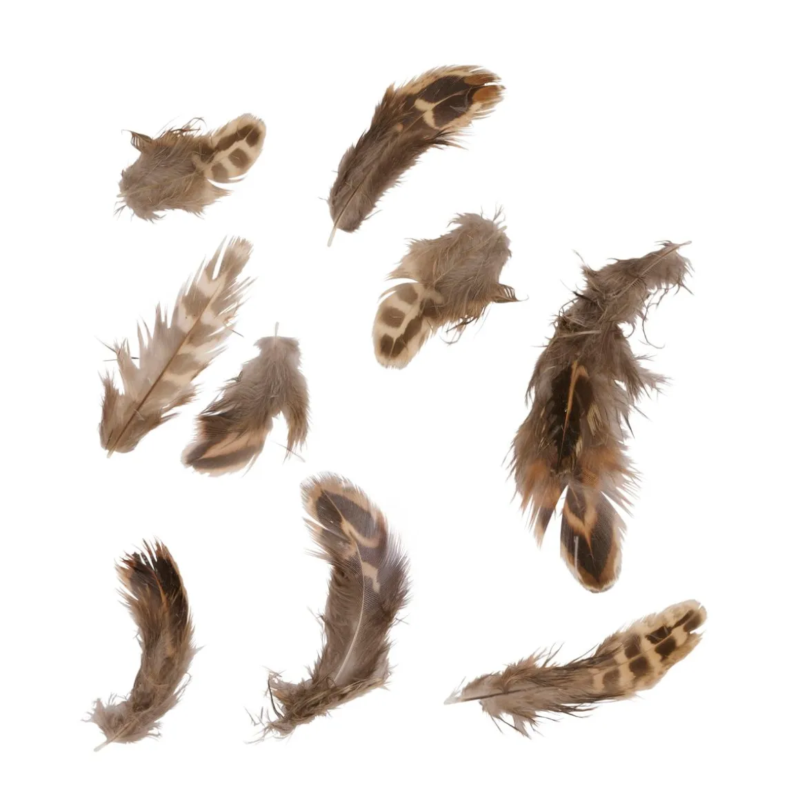 Osterdeko Federn 5 g