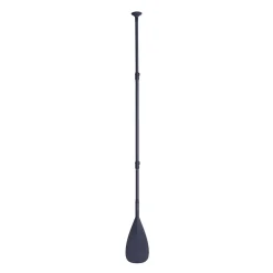Paddel Carbon 100