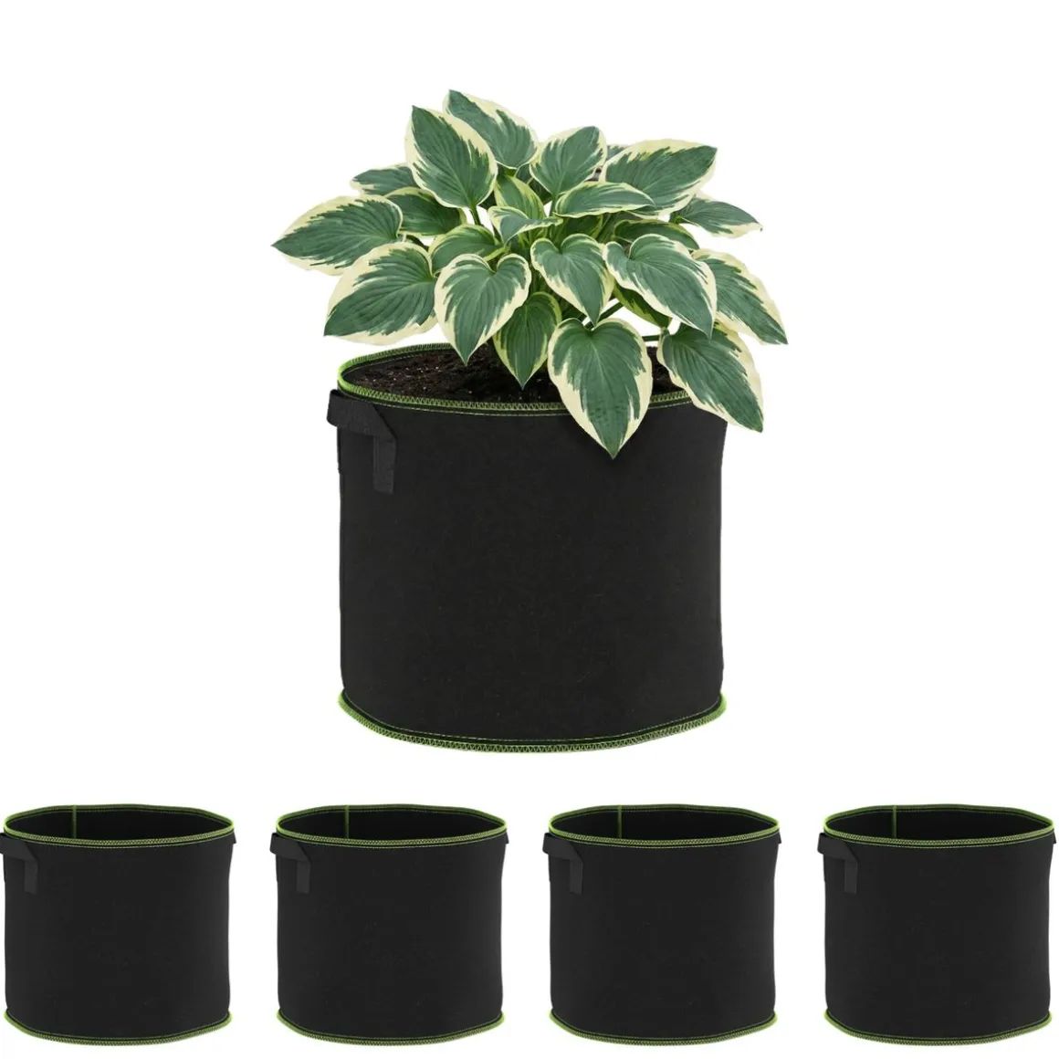 Pflanzsack mit Tragegriffen 5er Set 28L