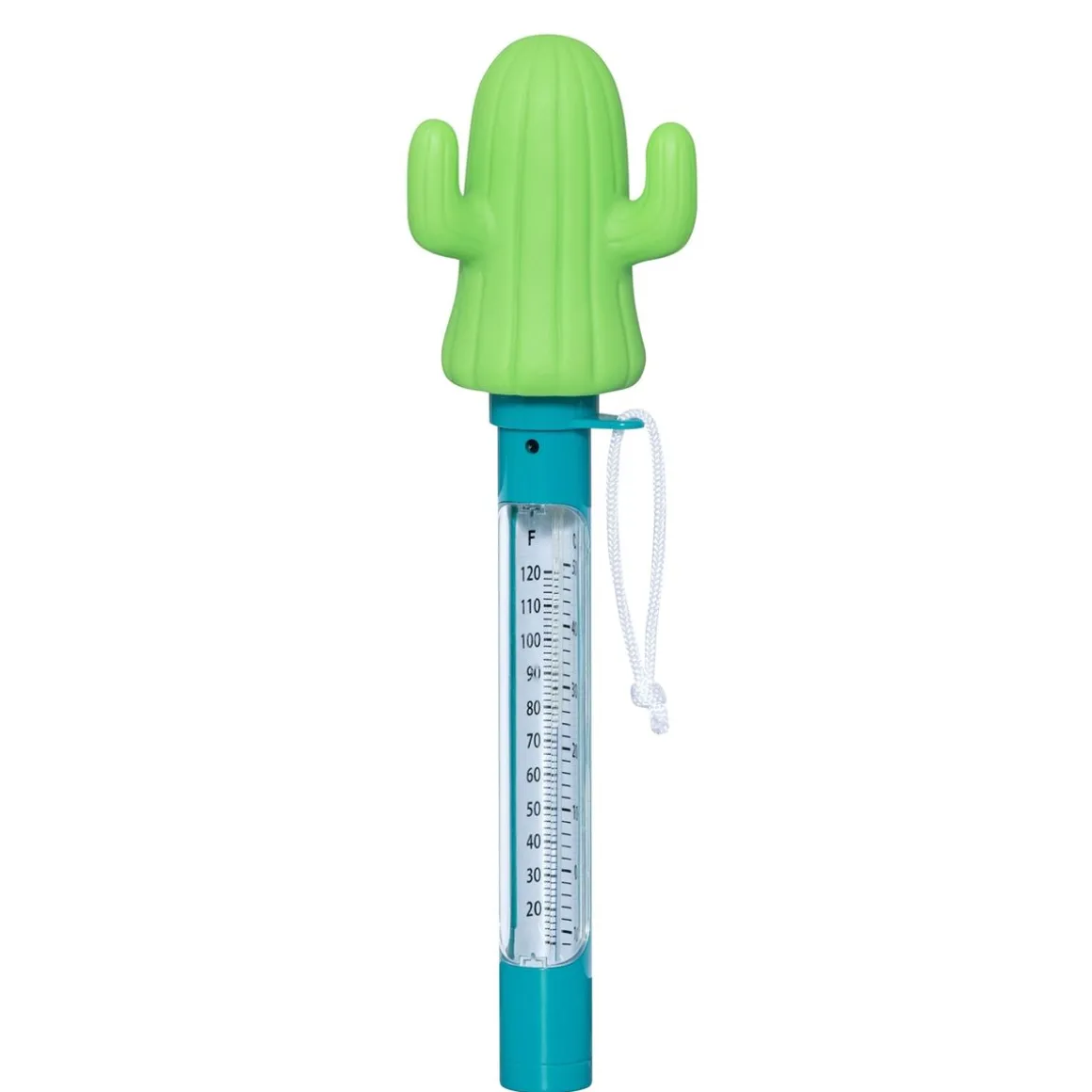 Pool Thermometer Kaktus