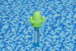 Pool Thermometer Kaktus