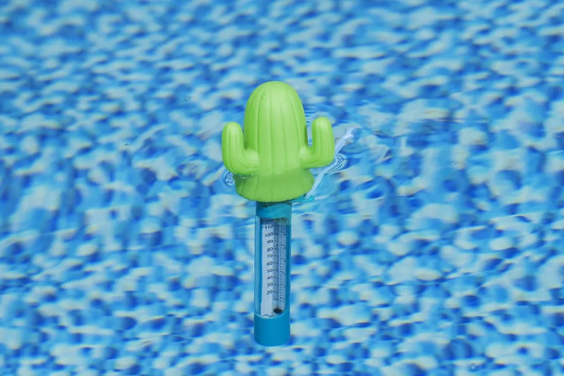 Pool Thermometer Kaktus