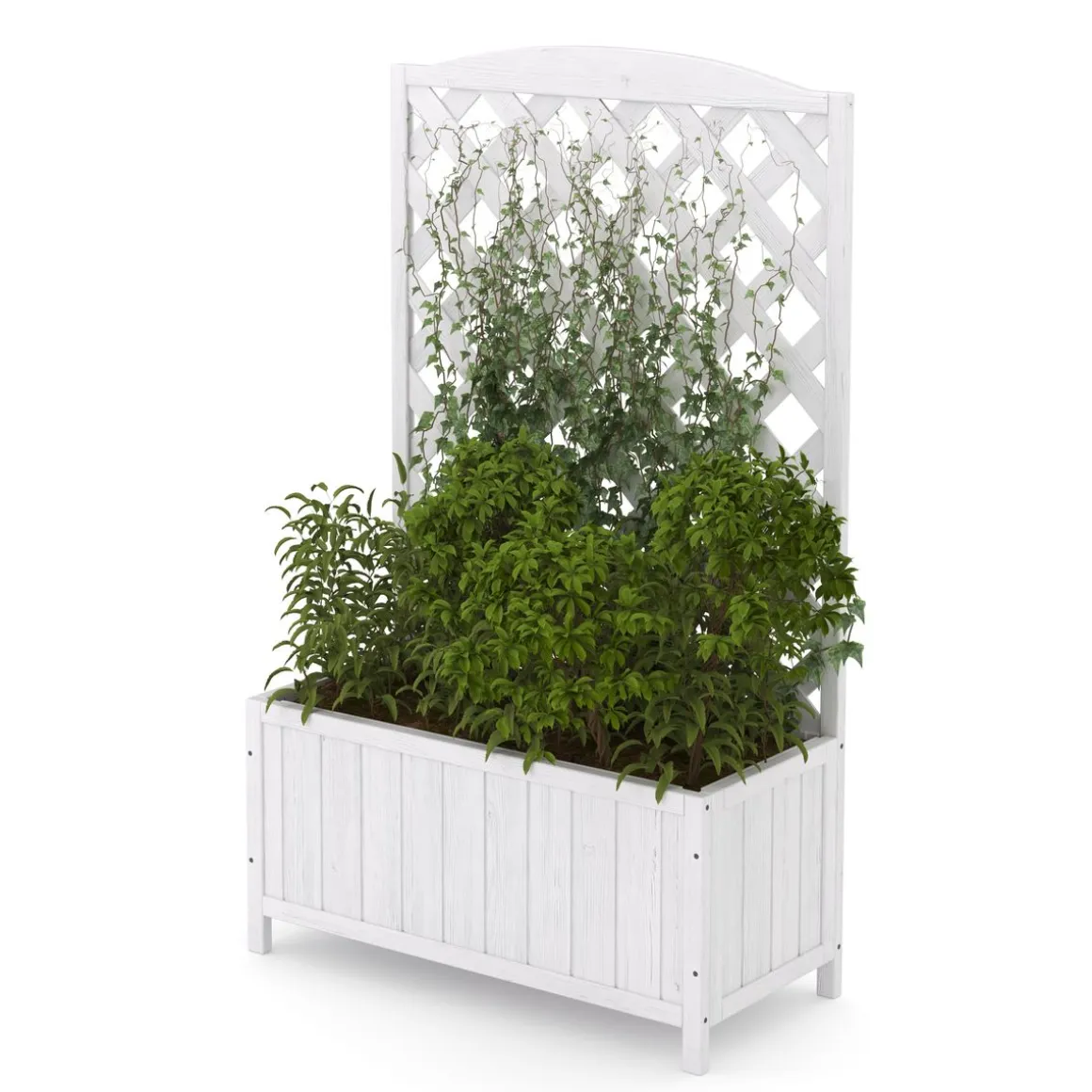 Rankgitter mit Blumenkasten weiss