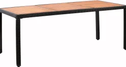 Rattangarnitur PISA 1 Tisch und 8 Stühle