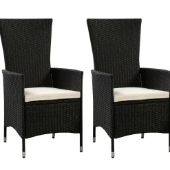Rattanstühle LIMNOS 2er Set schwarz