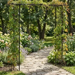 Rosenbogen Pergola 200 x 204 cm schwarz