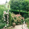 Rosen Pergola 240 x 140 cm