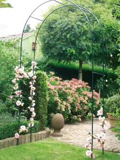 Rosen Pergola 240 x 140 cm