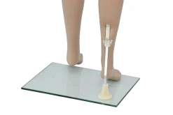 Schaufensterpuppe Dame