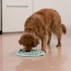 Schnüffelteppich Hundespielzeug 40 cm