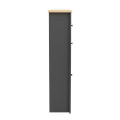 Schuhschrank ARLES 78 x 24 x 108 cm anthrazit