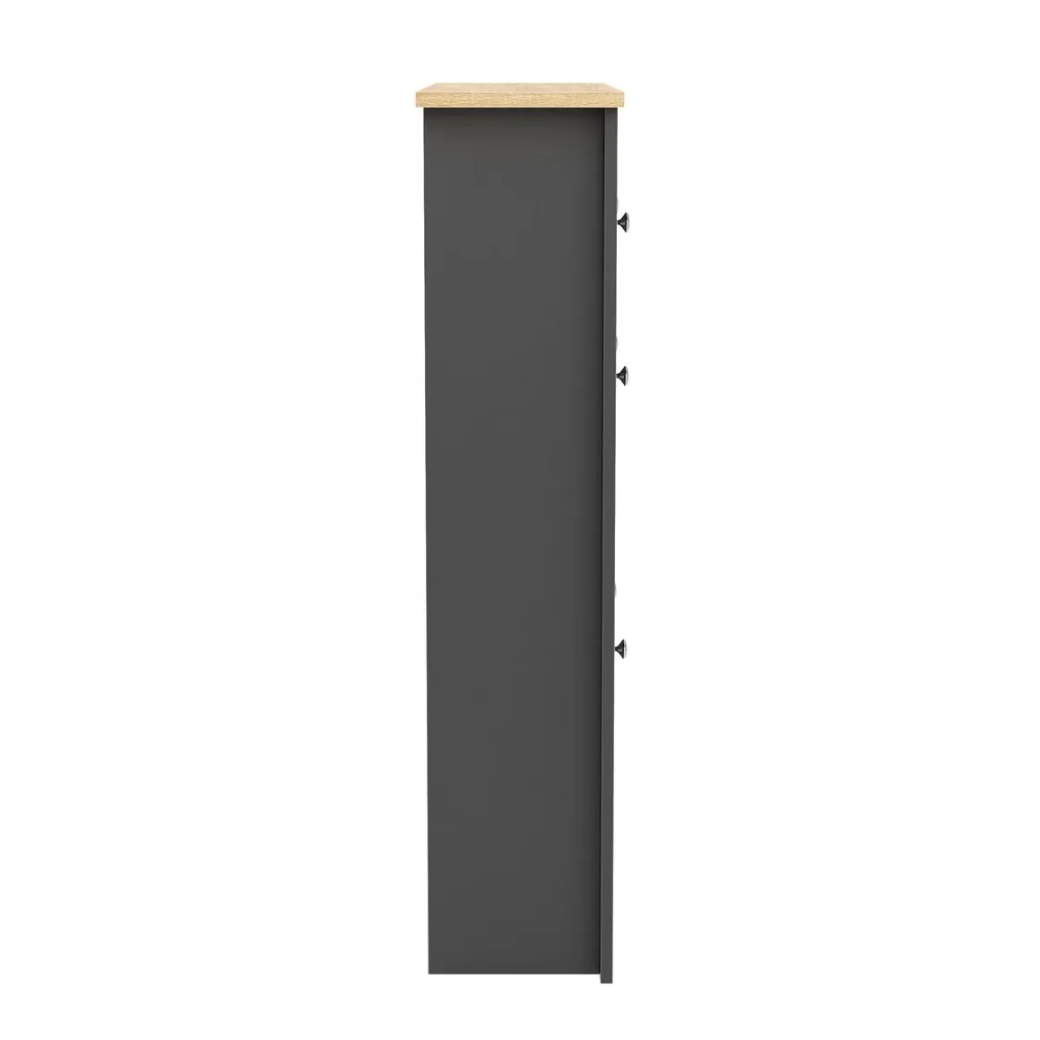 Schuhschrank ARLES 78 x 24 x 108 cm anthrazit