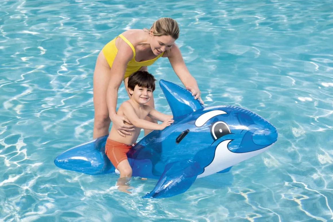 Schwimmtier Wal