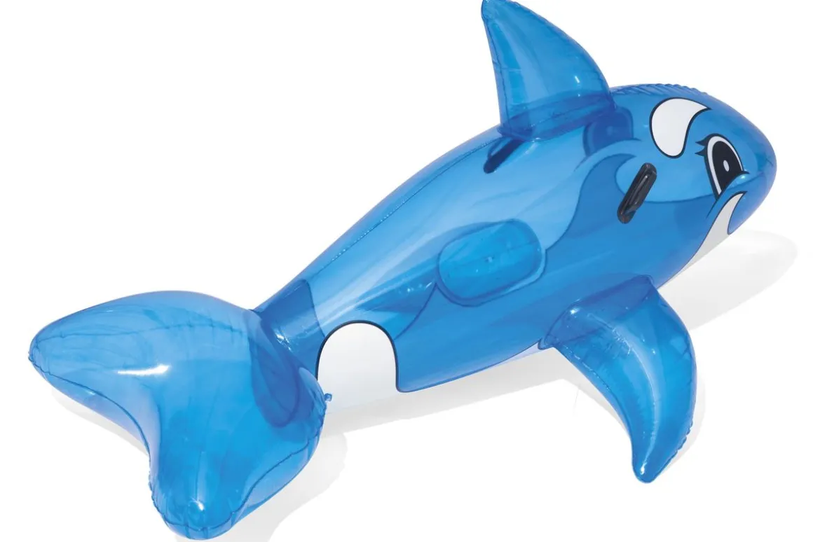 Schwimmtier Wal