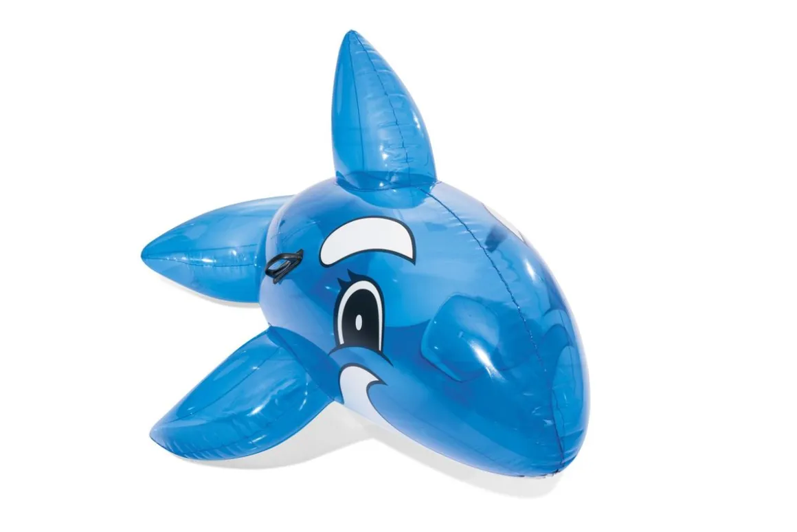 Schwimmtier Wal