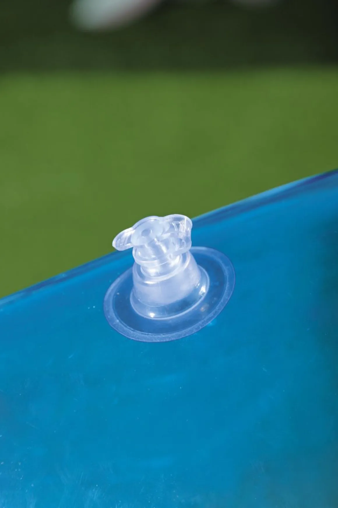 Schwimmtier Wal