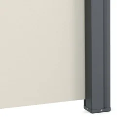 Seitenmarkise TIA 200 x 300 cm beige