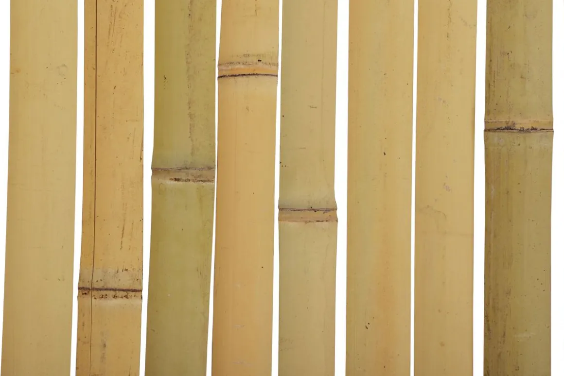 Sichtschutzmatte Bambus 300 x 180 cm