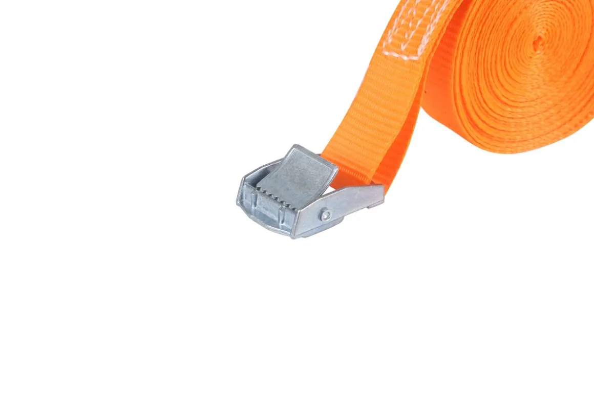 Spanngurt 10er Set 5 m