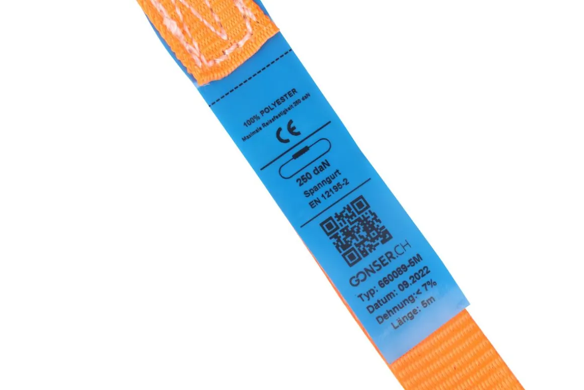 Spanngurt 10er Set 5 m