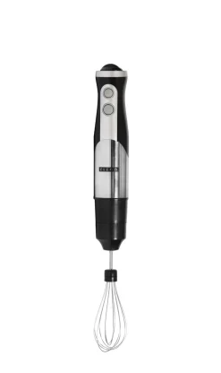 Stabmixer 1200W