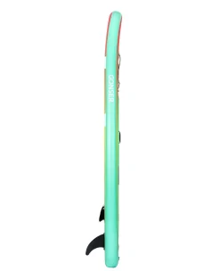 Stand Up Paddle BLEND 300 cm