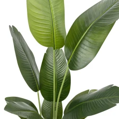 Strelitzie künstlich 160 cm