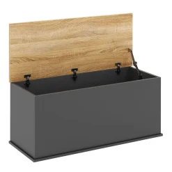 Truhe ARLES 100 x 40 x 47 cm anthrazit