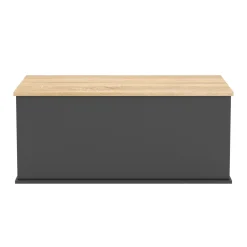 Truhe ARLES 100 x 40 x 47 cm anthrazit