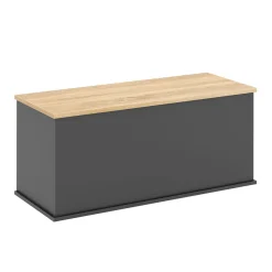 Truhe ARLES 100 x 40 x 47 cm anthrazit