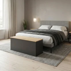 Truhe ARLES 100 x 40 x 47 cm anthrazit