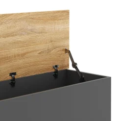 Truhe ARLES 100 x 40 x 47 cm anthrazit