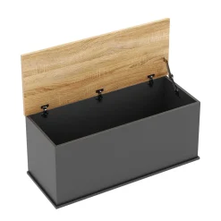 Truhe ARLES 100 x 40 x 47 cm anthrazit
