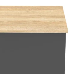 Truhe ARLES 100 x 40 x 47 cm anthrazit