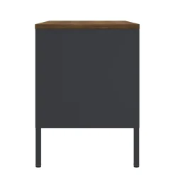 TV Möbel Metall AMET 120 x 55 cm schwarz/braun