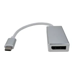 USB-C zu DisplayPort Adapter silber